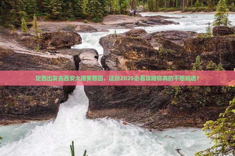 定西去西安大唐芙蓉园团体旅游
