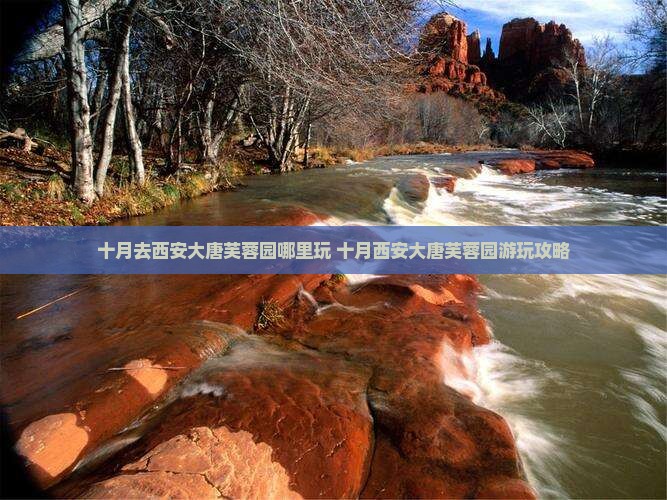 十月去西安大唐芙蓉园哪里玩