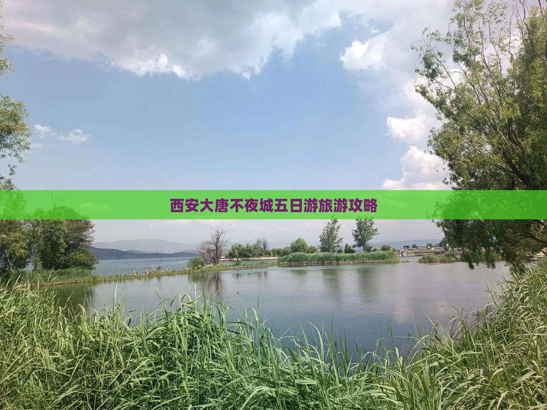 吉林去西安大唐不夜城五日游