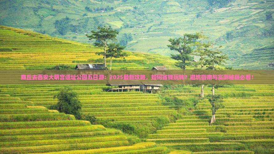 商丘去西安大明宫国家遗址公园五日游
