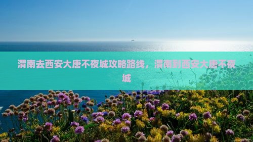 渭南去西安大唐不夜城攻略