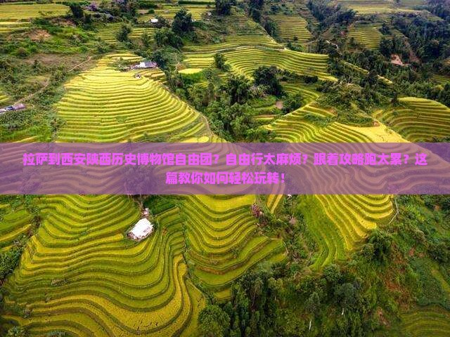 拉萨到西安陕西历史博物馆自由团
