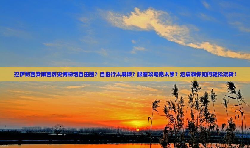 拉萨到西安陕西历史博物馆自由团