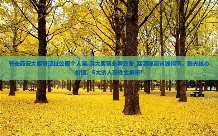 国庆节去西安大明宫国家遗址公园个人游