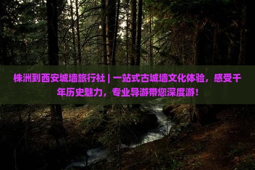 株洲到西安城墙旅行社