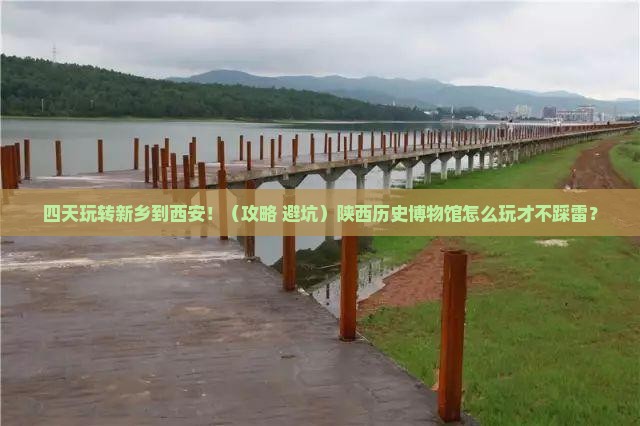 新乡到西安陕西历史博物馆四日游