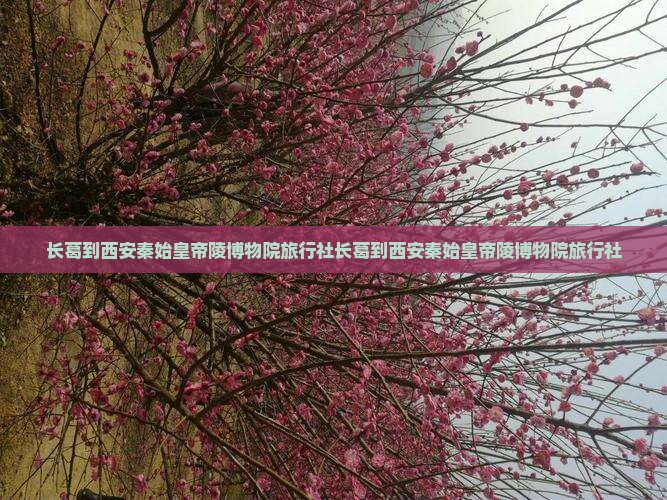 长葛到西安秦始皇帝陵博物院旅行社