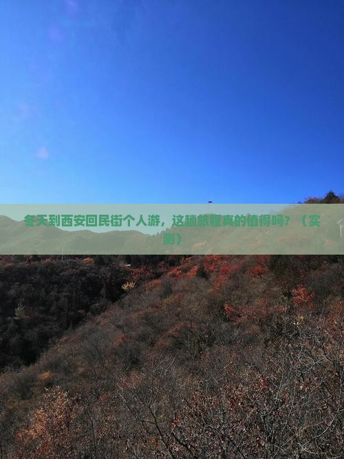 冬天到西安回民街个人游