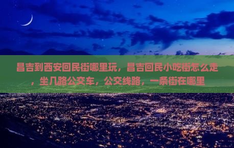 昌吉到西安回民街哪里玩