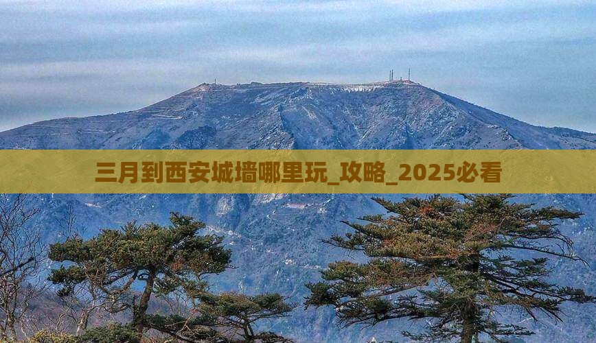 三月到西安城墙哪里玩