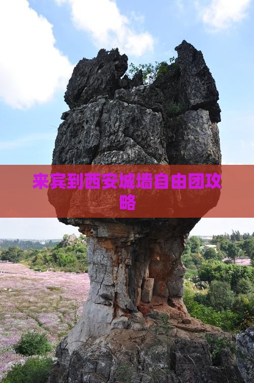 来宾到西安城墙自由团