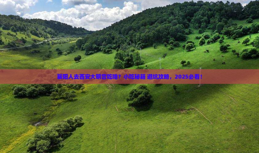 襄阳去西安大明宫国家遗址公园旅游小吃