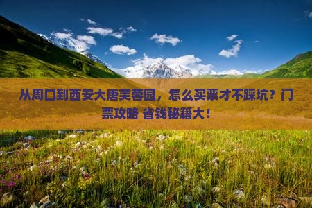 周口到西安大唐芙蓉园门票