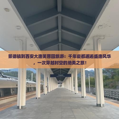 景德镇到西安大唐芙蓉园旅游
