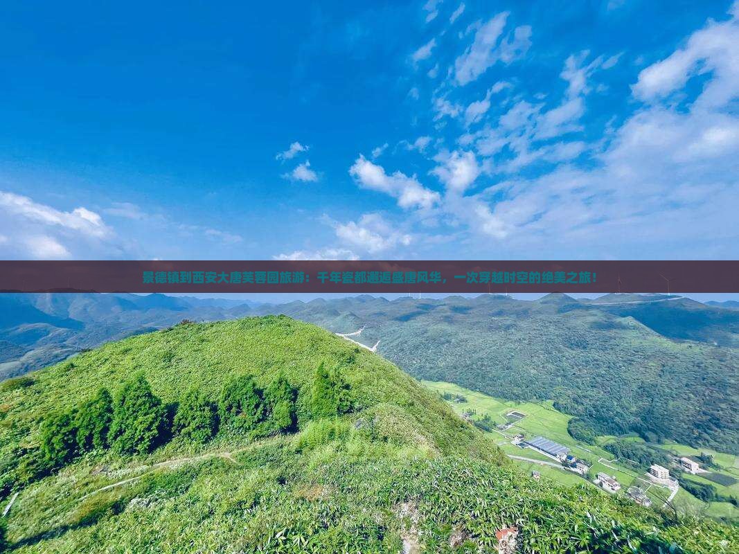 景德镇到西安大唐芙蓉园旅游
