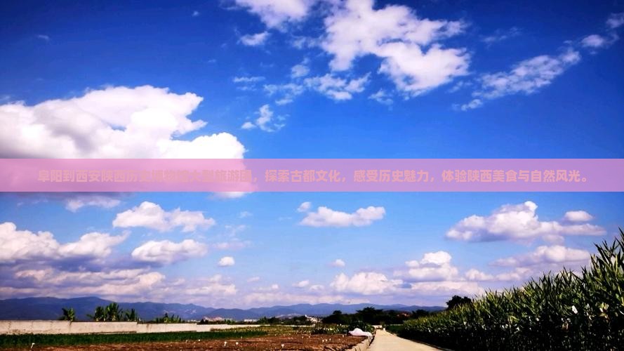 阜阳到西安陕西历史博物馆大型旅游团
