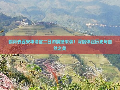 鹤岗去西安华清宫二日游