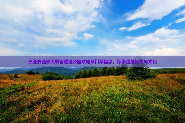 三亚去西安大明宫国家遗址公园门票