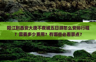 阳江到西安大唐不夜城五日游怎么安排行程？需要多少费用？有哪些必看景点？