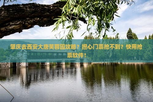 肇庆去西安大唐芙蓉园攻略？担心门票抢不到？快用抢票软件！