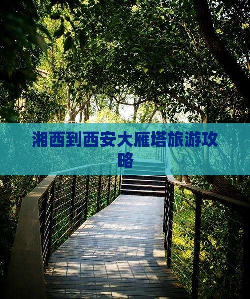 湘西到西安大雁塔旅游攻略