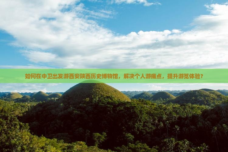 如何在中卫出发游西安陕西历史博物馆，解决个人游痛点，提升游览体验？