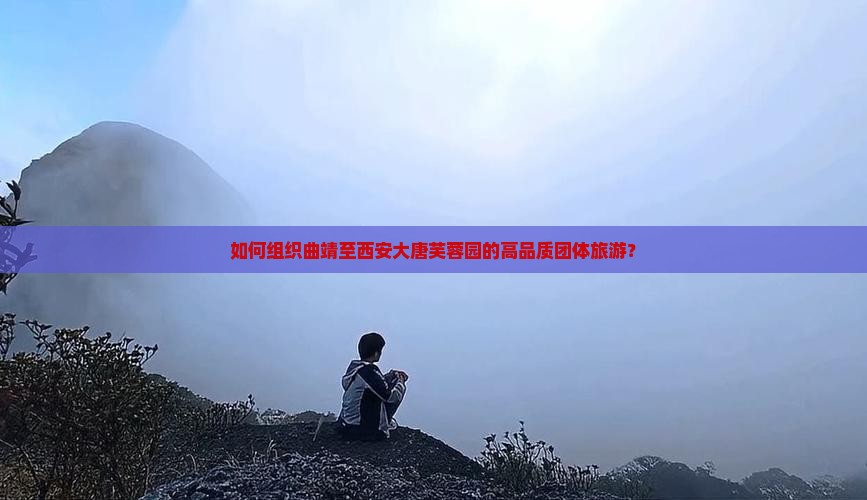 如何组织曲靖至西安大唐芙蓉园的高品质团体旅游？