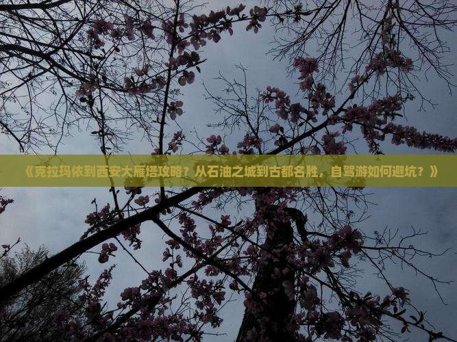 《克拉玛依到西安大雁塔攻略？从石油之城到古都名胜，自驾游如何避坑？》