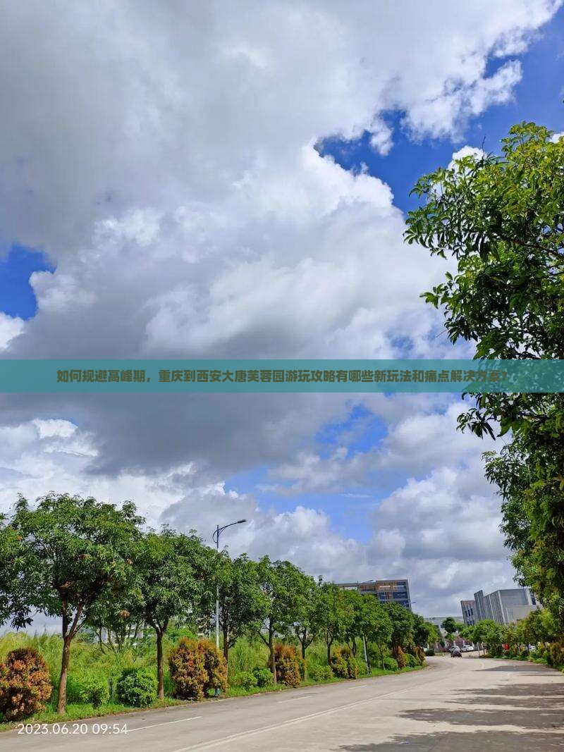 如何规避高峰期，重庆到西安大唐芙蓉园游玩攻略有哪些新玩法和痛点解决方案？