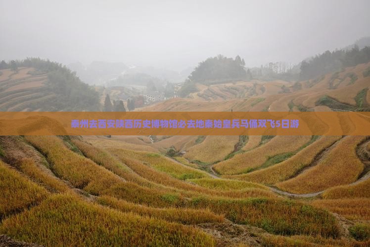 泰州去西安陕西历史博物馆必去地秦始皇兵马俑双飞5日游