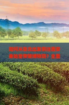 如何从张北出发前往西安秦始皇帝陵博物院？全面攻略及门票、交通、住宿详解？