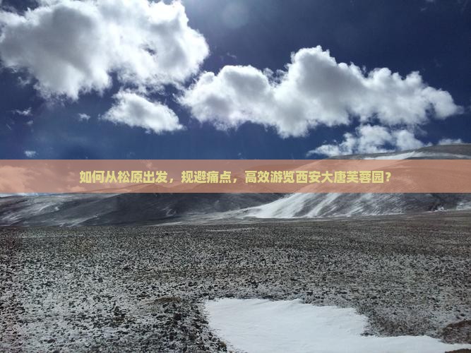 如何从松原出发，规避痛点，高效游览西安大唐芙蓉园？