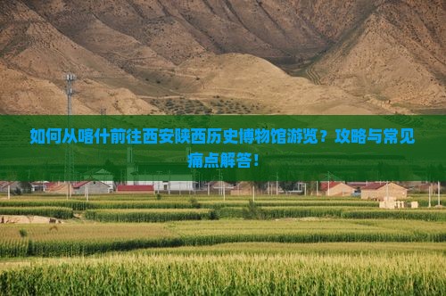 如何从喀什前往西安陕西历史博物馆游览？攻略与常见痛点解答！