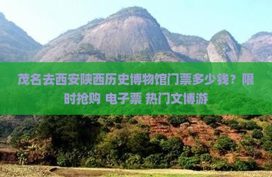 茂名去西安陕西历史博物馆门票多少钱？限时抢购+电子票+热门文博游