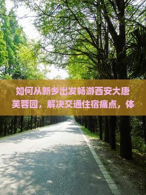如何从新乡出发畅游西安大唐芙蓉园，解决交通住宿痛点，体验网红美景？