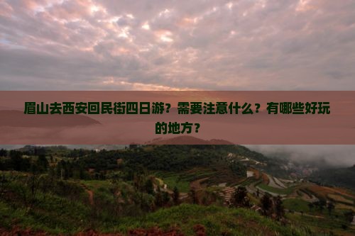 眉山去西安回民街四日游？需要注意什么？有哪些好玩的地方？