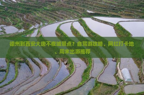 德州到西安大唐不夜城景点？自驾游攻略、网红打卡地、周末出游推荐