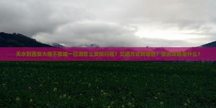 天水到西安大唐不夜城一日游怎么安排行程？交通方式有哪些？景点攻略是什么？