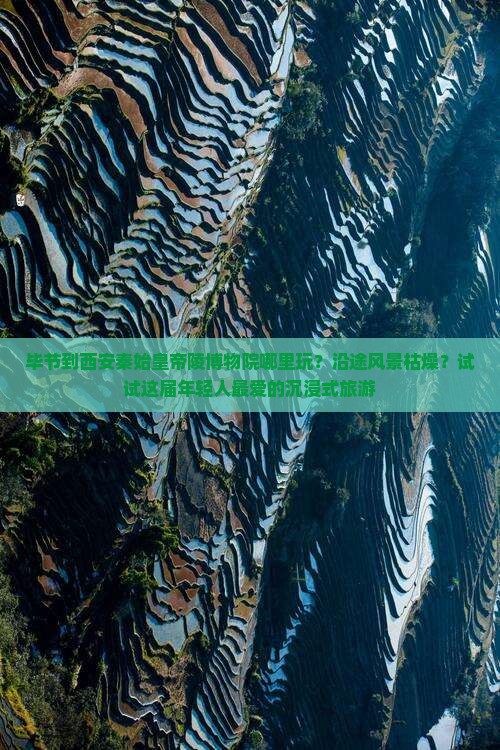 毕节到西安秦始皇帝陵博物院哪里玩？沿途风景枯燥？试试这届年轻人最爱的沉浸式旅游