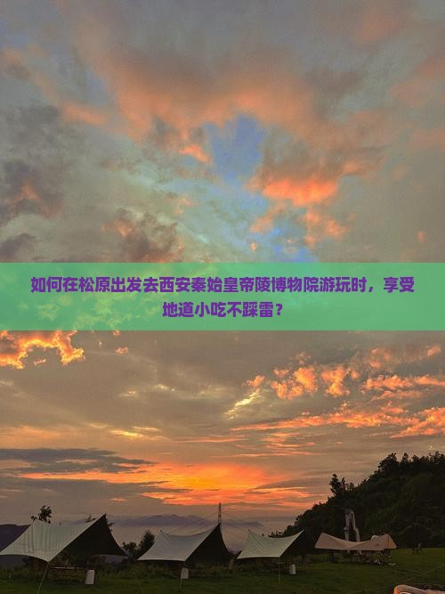 如何在松原出发去西安秦始皇帝陵博物院游玩时，享受地道小吃不踩雷？