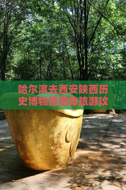 哈尔滨去西安陕西历史博物馆团体旅游攻略