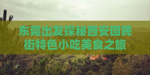 东莞出发探秘西安回民街特色小吃美食之旅
