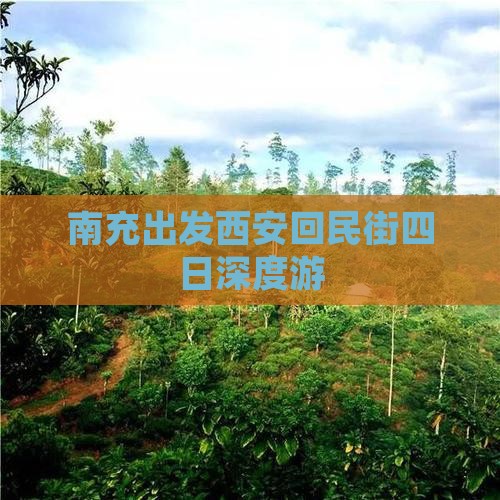 南充出发西安回民街四日深度游
