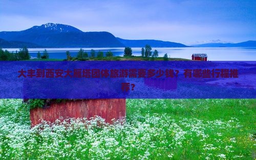 大丰到西安大雁塔团体旅游需要多少钱？有哪些行程推荐？