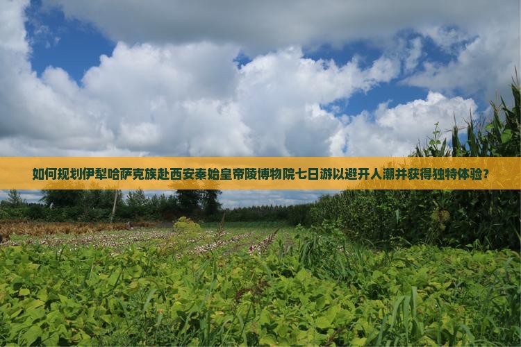 如何规划伊犁哈萨克族赴西安秦始皇帝陵博物院七日游以避开人潮并获得独特体验？