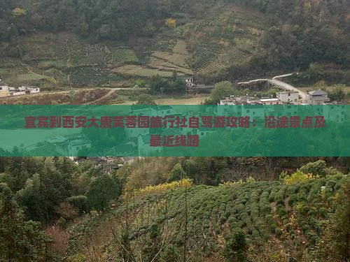 宜宾到西安大唐芙蓉园旅行社自驾游攻略：沿途景点及最近线路