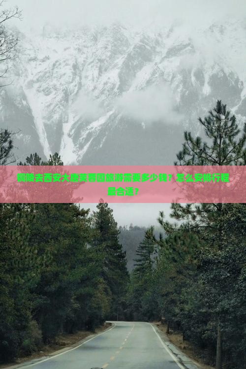铜陵去西安大唐芙蓉园旅游需要多少钱？怎么安排行程最合适？