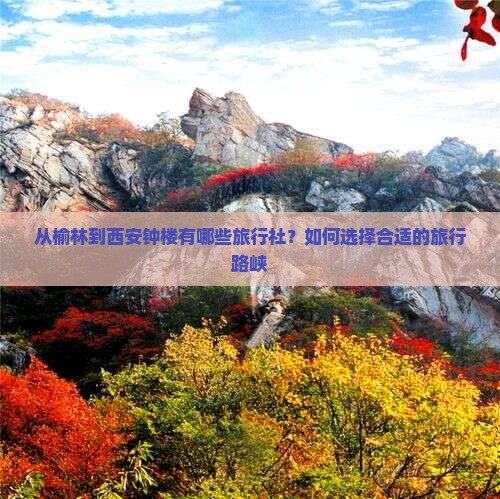 从榆林到西安钟楼有哪些旅行社？如何选择合适的旅行路峡