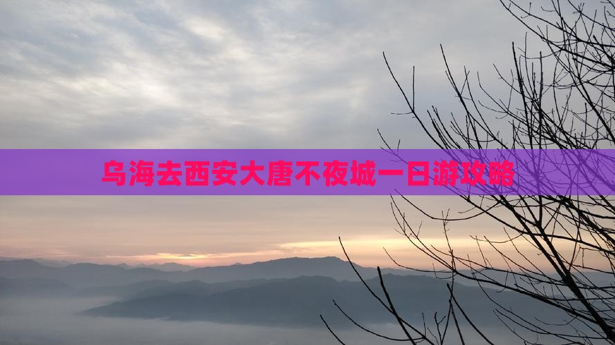 乌海去西安大唐不夜城一日游攻略