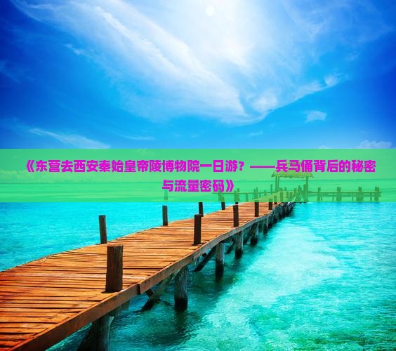 《东营去西安秦始皇帝陵博物院一日游？——兵马俑背后的秘密与流量密码》